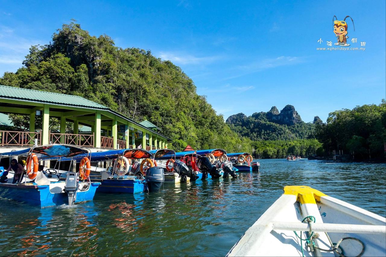 Jelajahi Mangrove Langkawi: Petualangan Ekosistem yang Menakjubkan